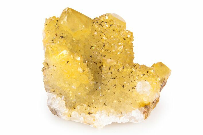 Sunshine Cactus Quartz Crystal Cluster - South Africa #303098